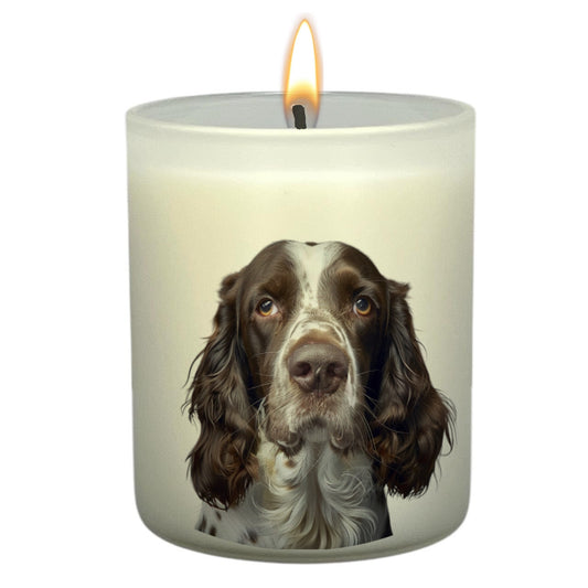 English Spinner Spaniel