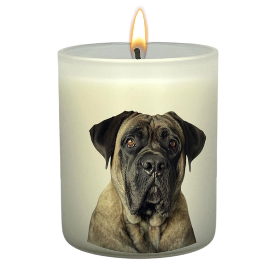 English Mastiff