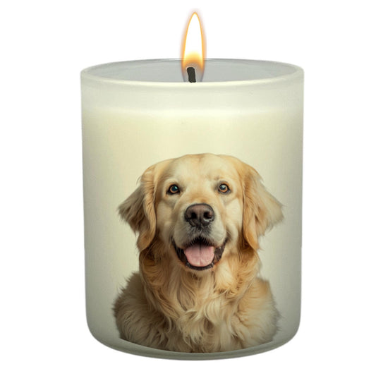 Golden Retriever (Cream)