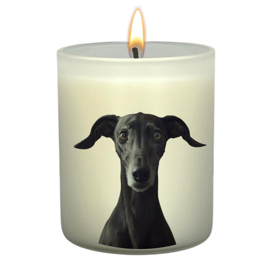 Greyhound (Black)