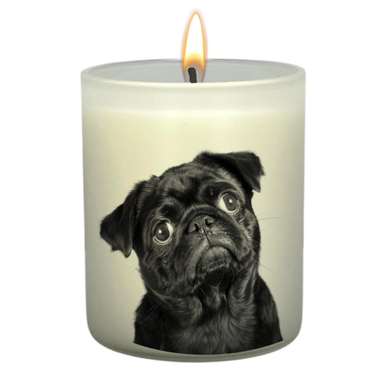 Pug (Black)