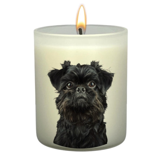 Brussels Griffon (Black)