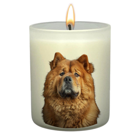 Chow Chow (Fawn)