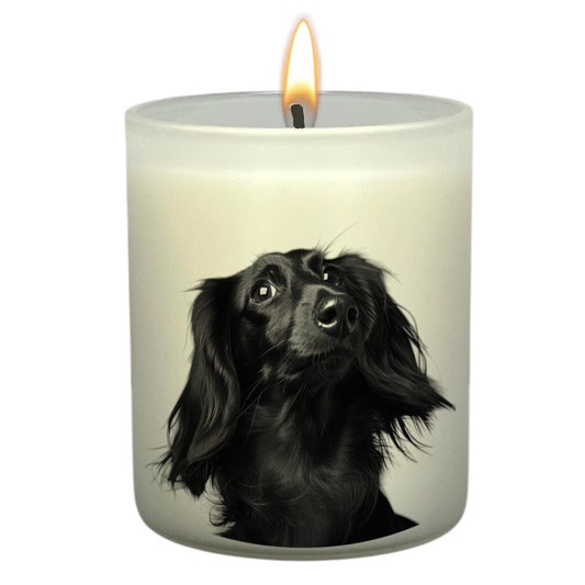 Dachshund (Black)