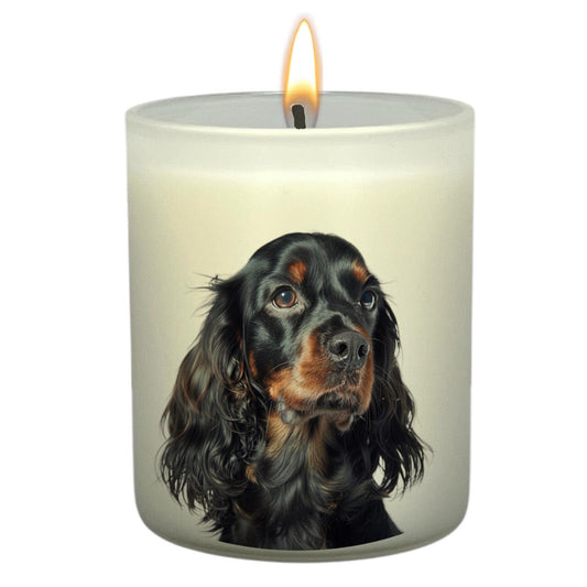 Cockerspaniel (Black & Tan)