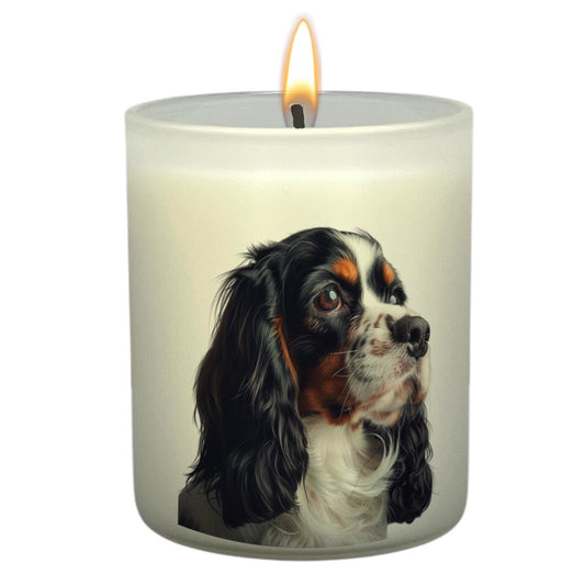 King Charles Spaniel (Tri-Colour)