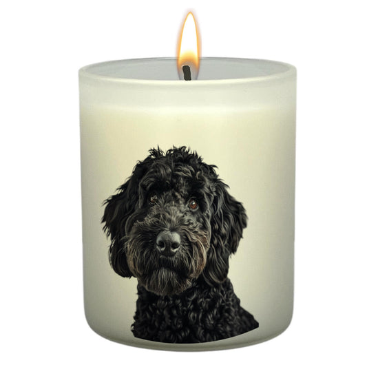 Labradoodle (Black)