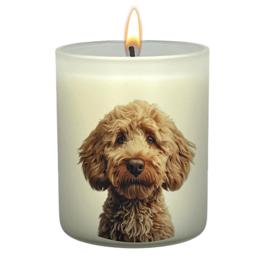 Labradoodle (Fawn)
