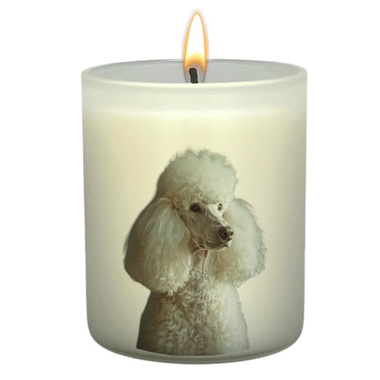 Poodle (White)