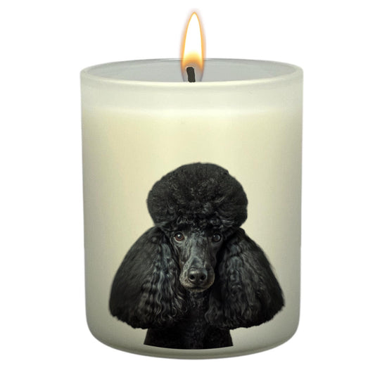 Poodle (Black)