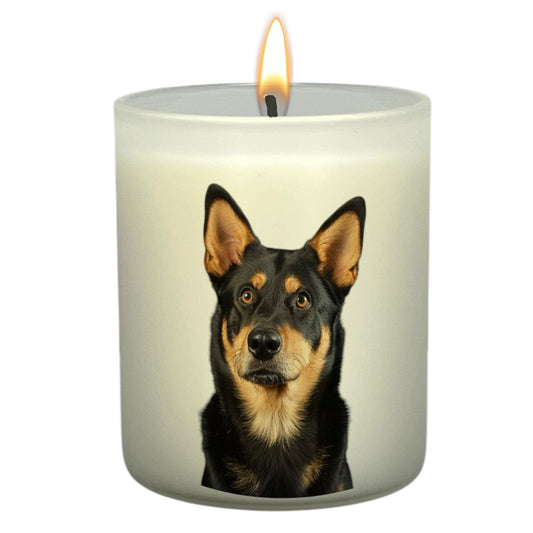 Kelpie (Black & Tan)
