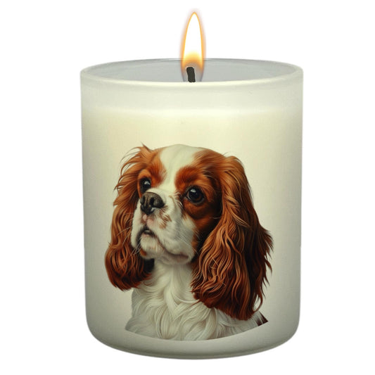 King Charles Cavalier (Tan & White)