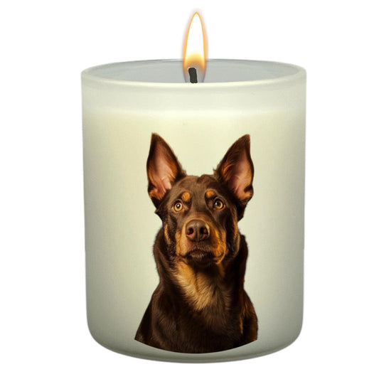 Kelpie (Red & Tan)