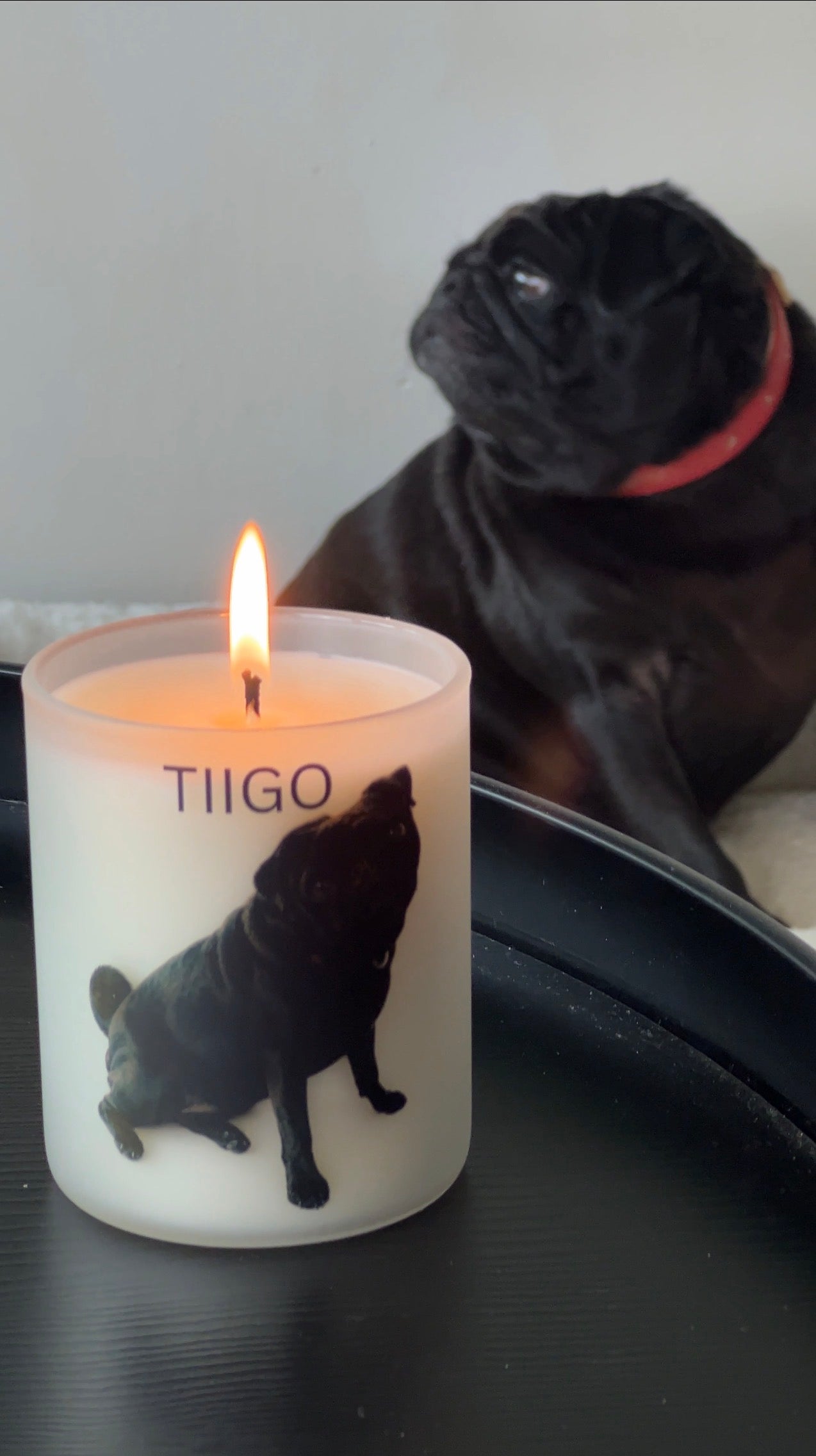 Personalised Pet Candle Scented 10oz Glass Jar