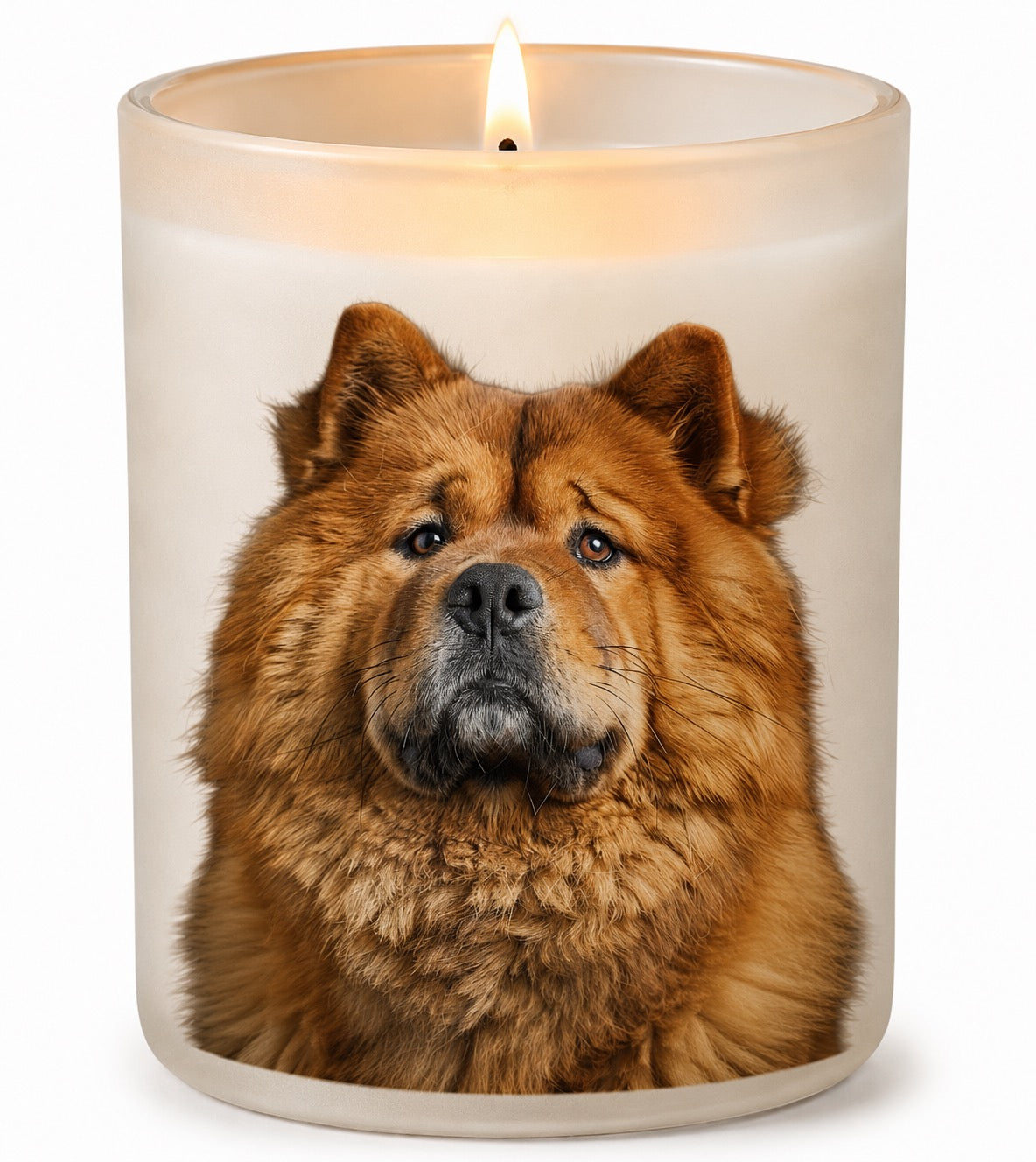 Chow Chow_Red