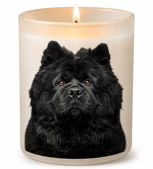 Chow Chow_Black