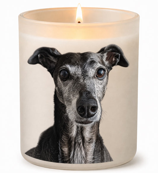 Greyhound_Silver