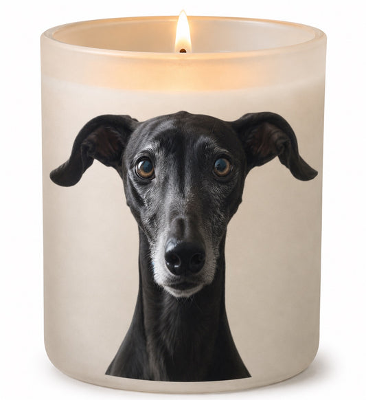 Greyhound_Black