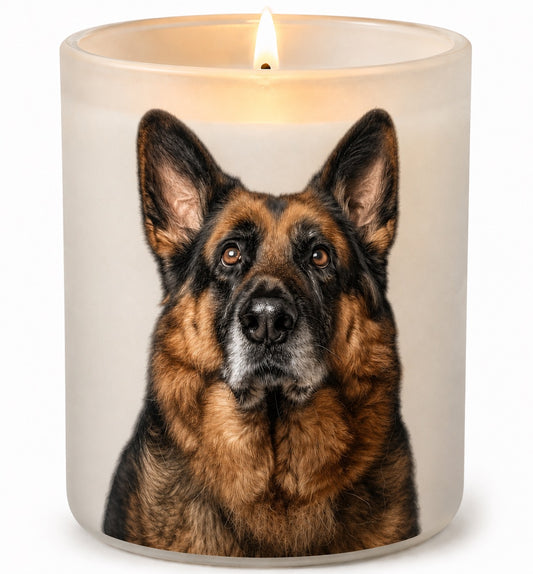 German Shepherd