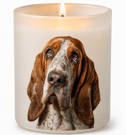 Basset Hound
