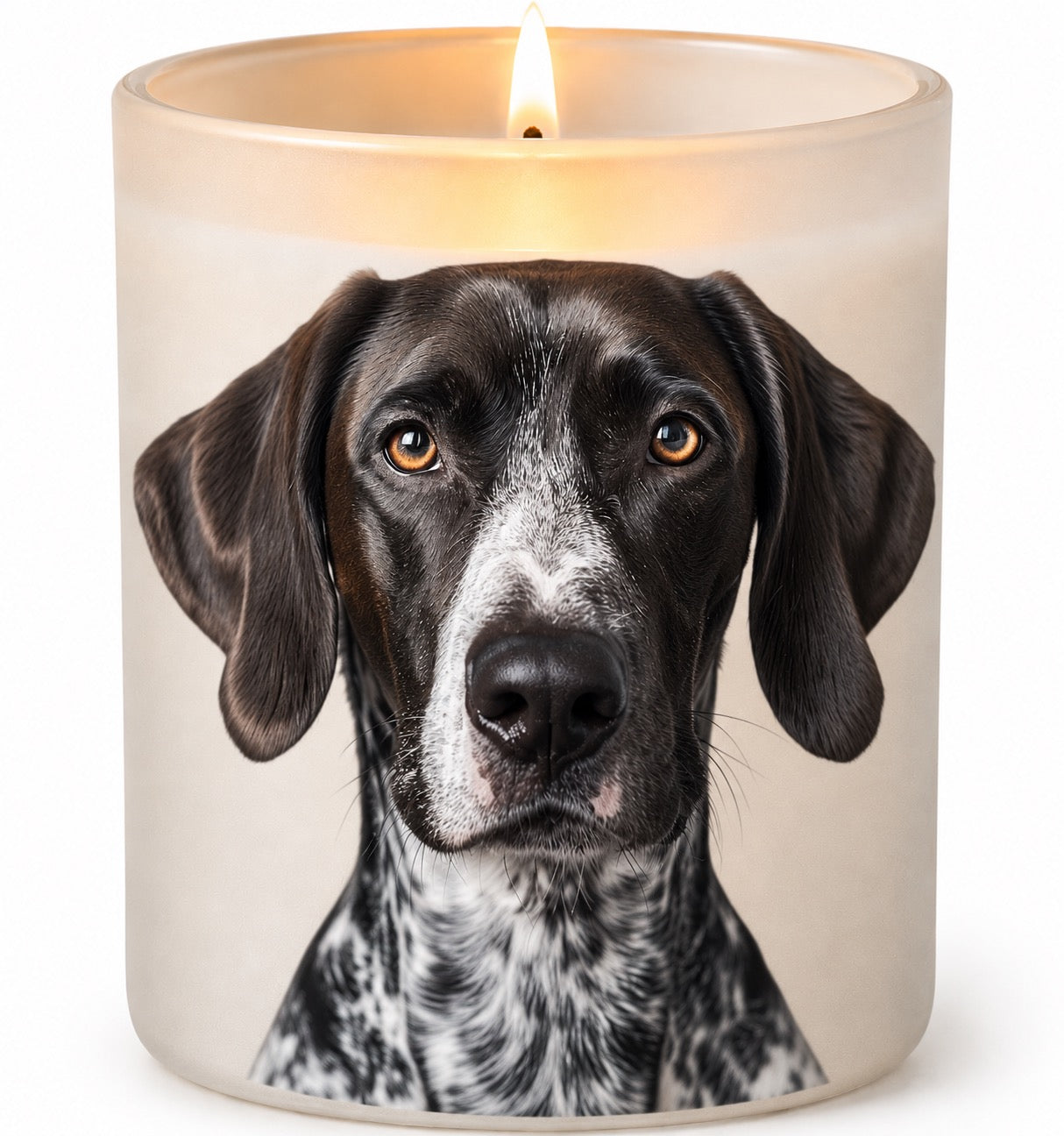 German Short-Haired Pointer_Black & White