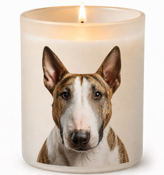 Bull Terrier_Brindle