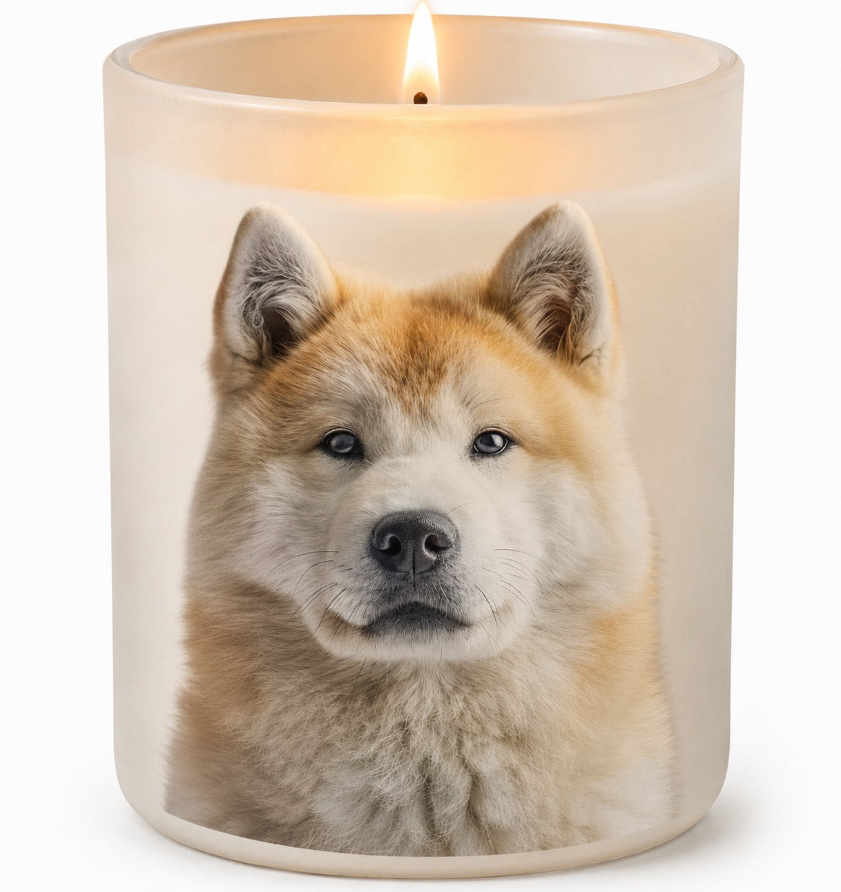Akita Inu