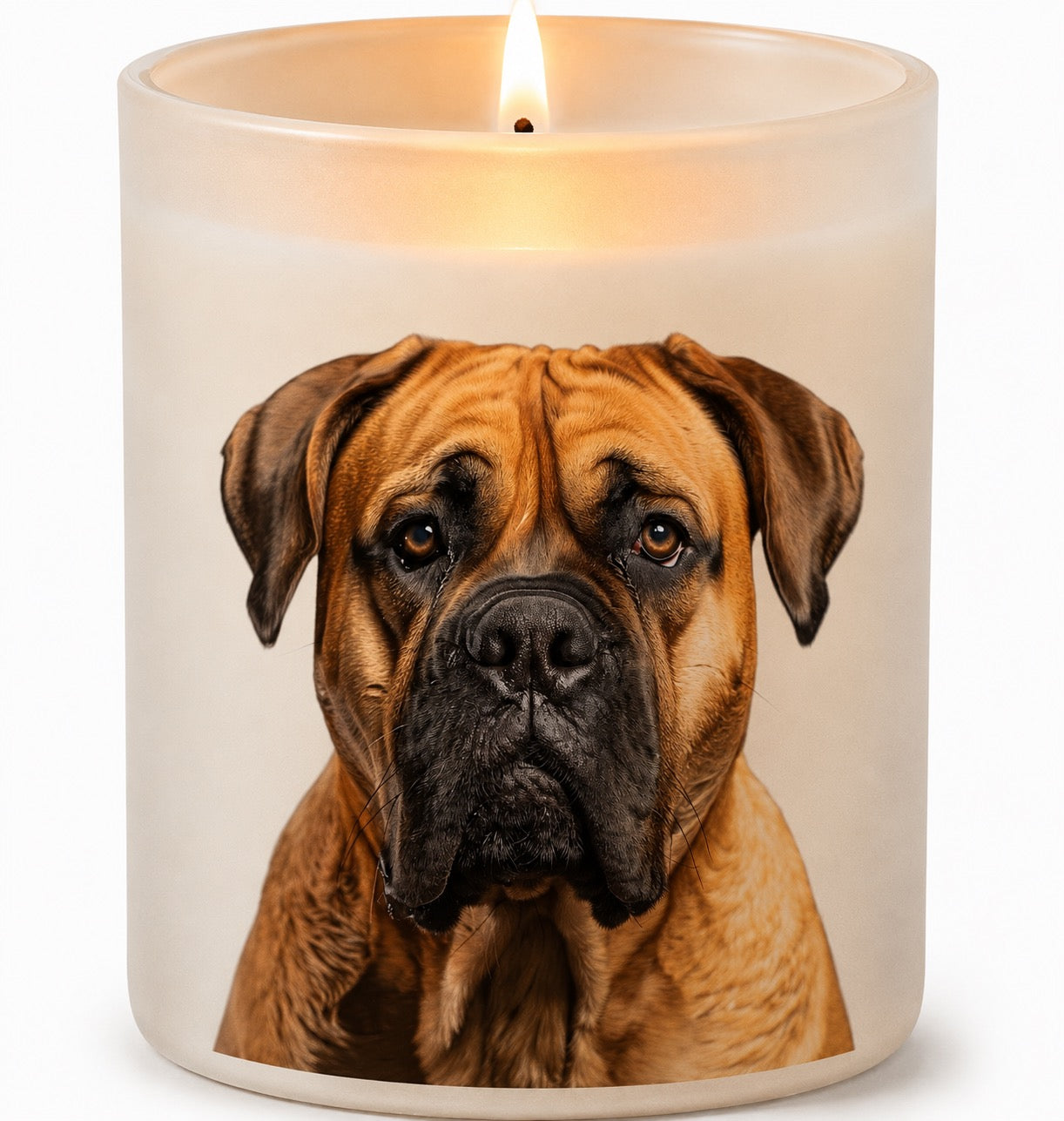 Bull Mastiff