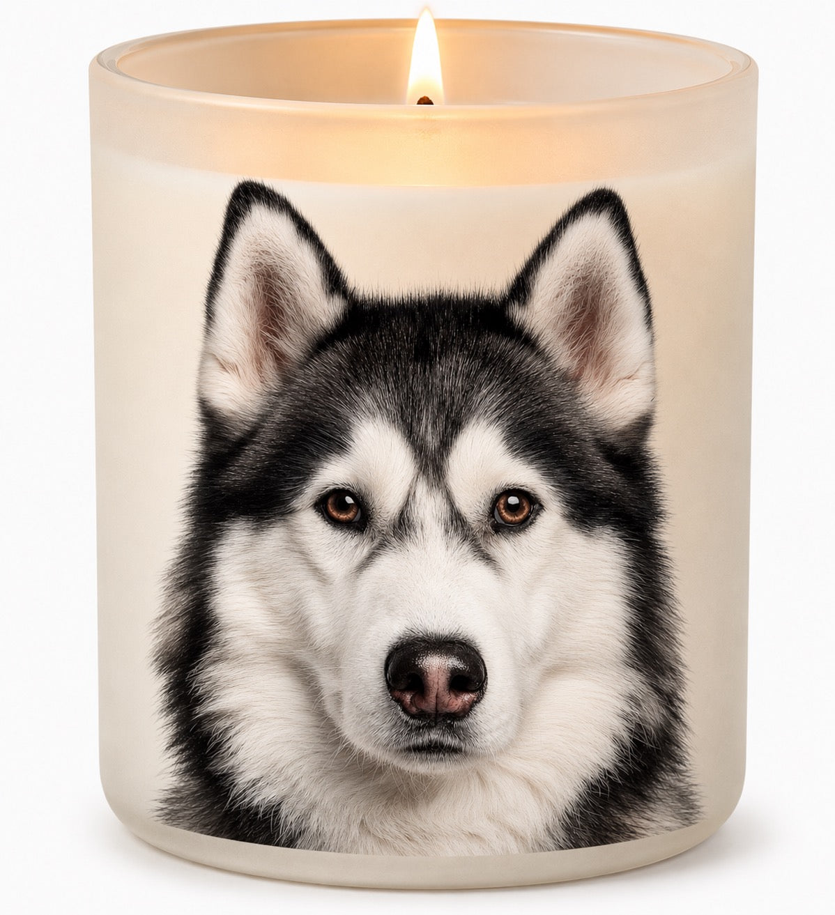 Siberian Husky_Black & White