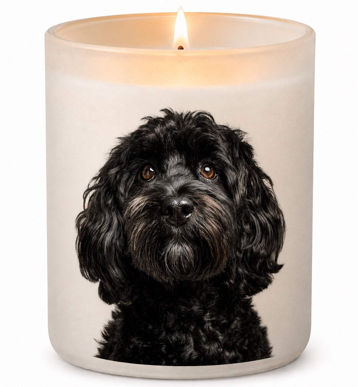 Cockapoo_Black
