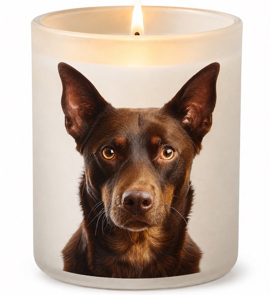 Kelpie_Brown