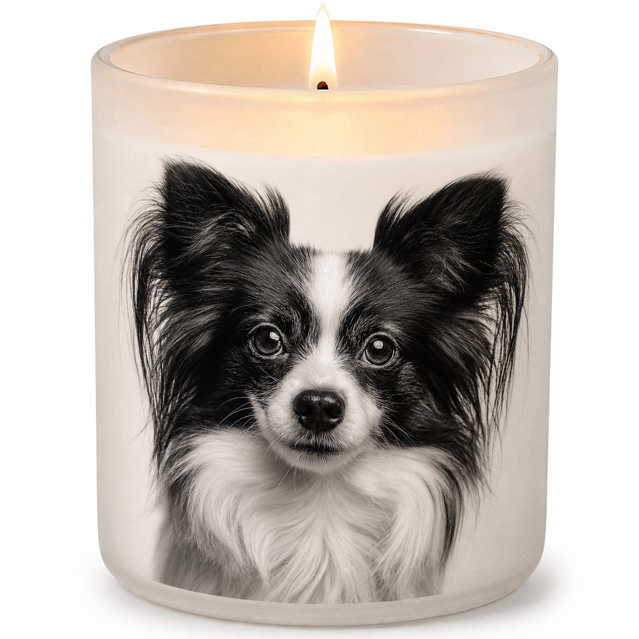 Papillion_Black & White
