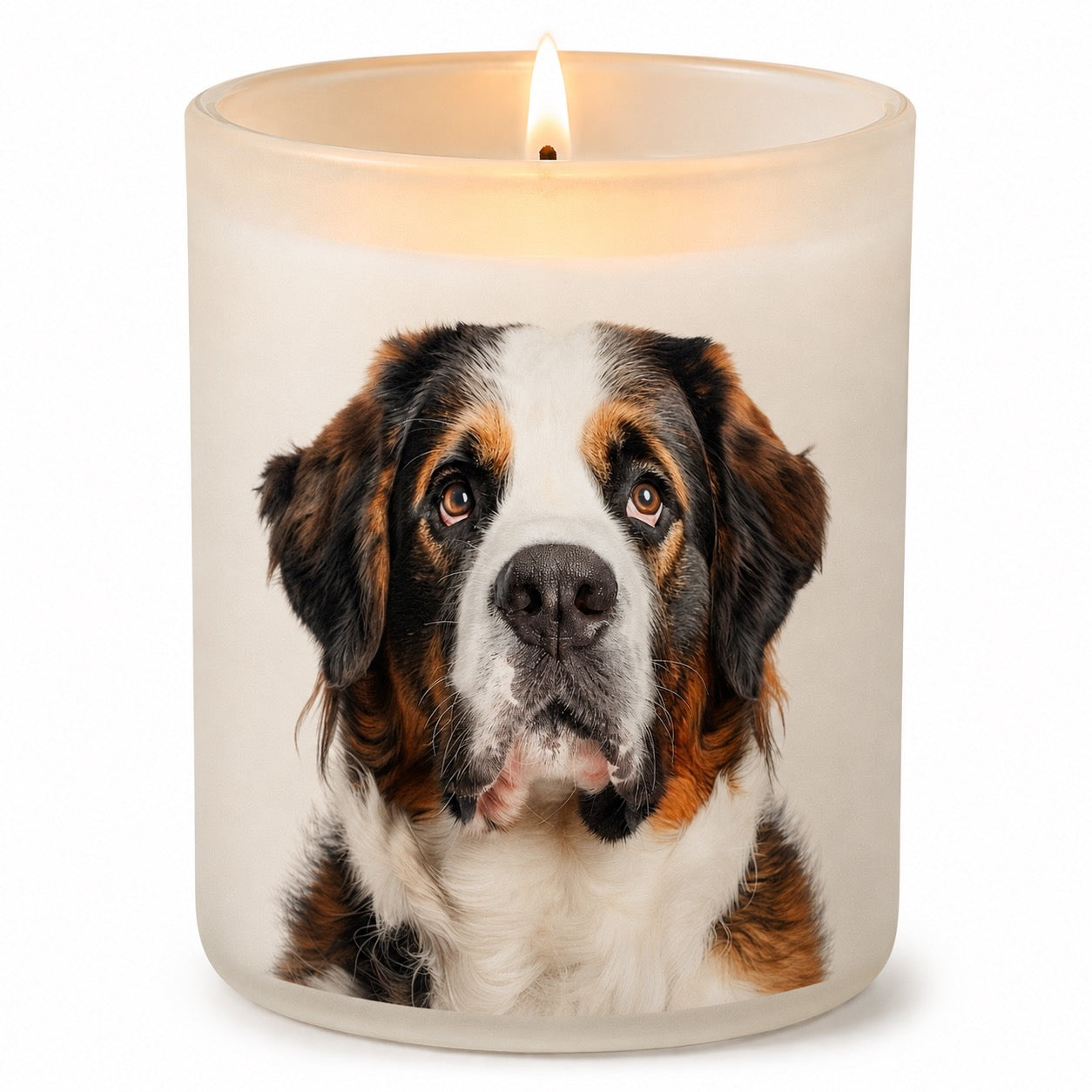 St Bernard