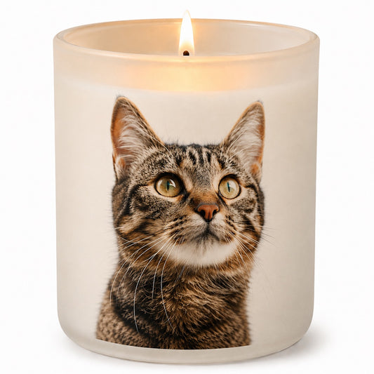 Tabby