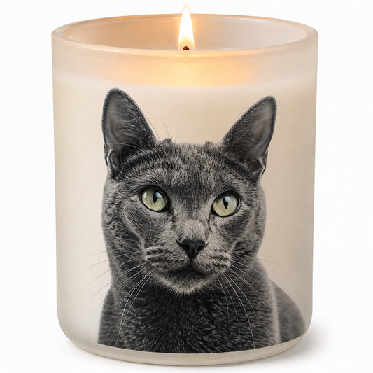 Russian Blue