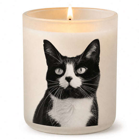 Tuxedo