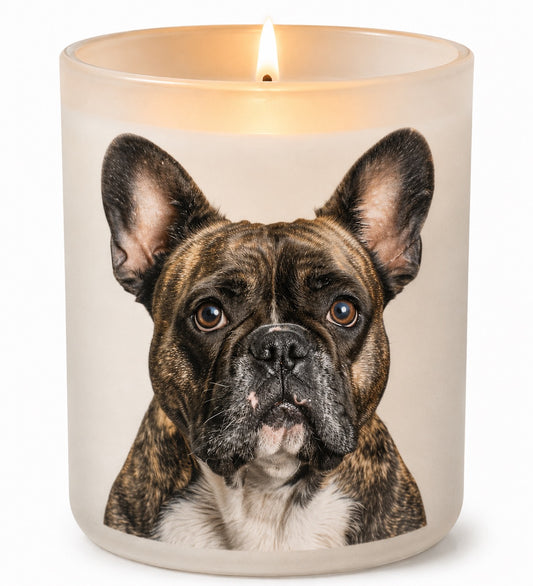 French Bulldog_Brindle