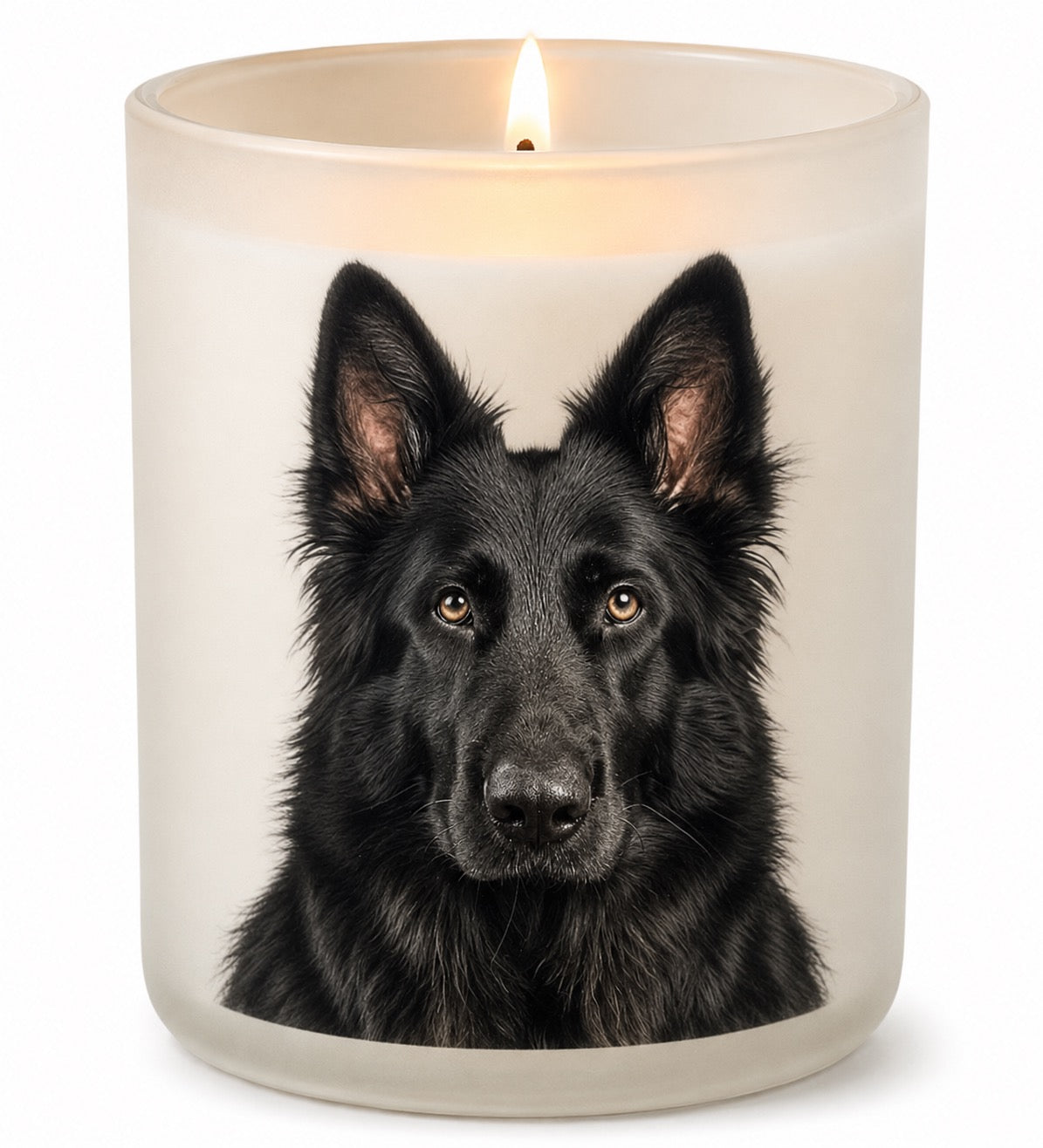 German Shepherd_Black