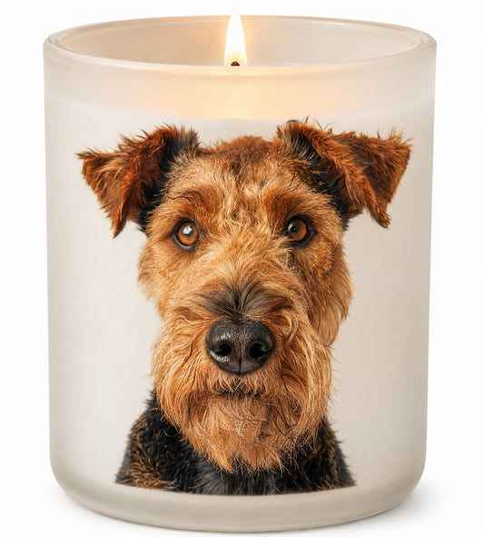 Airedale Terrier