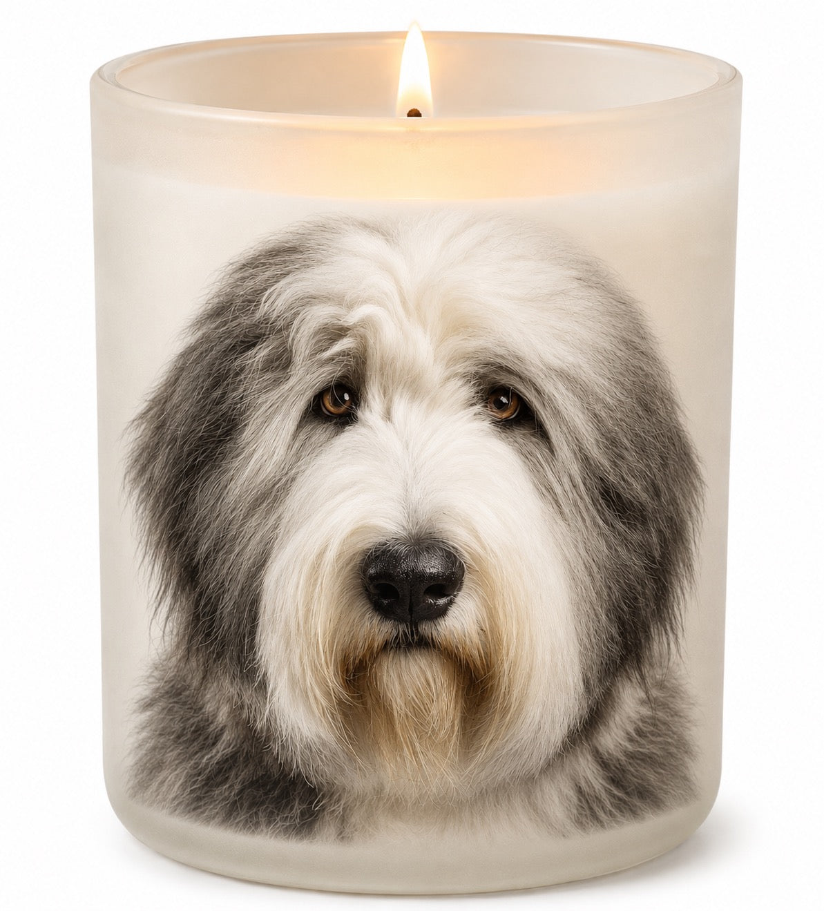 Old English Sheepdog