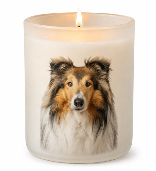 Rough Collie