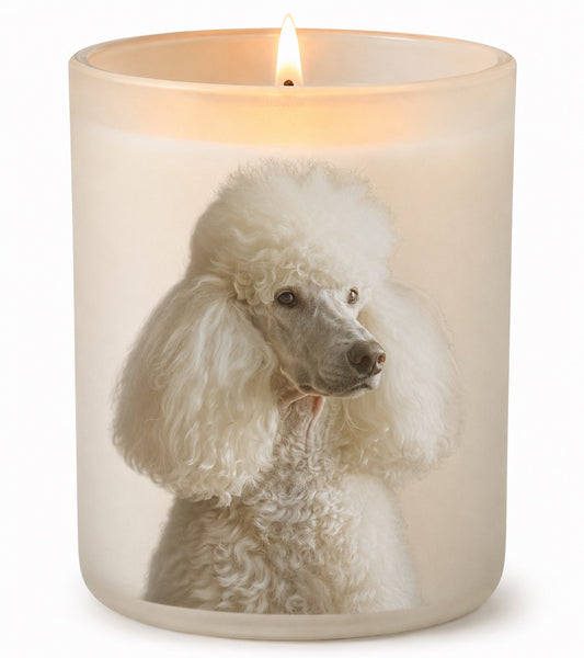 Poodle_White