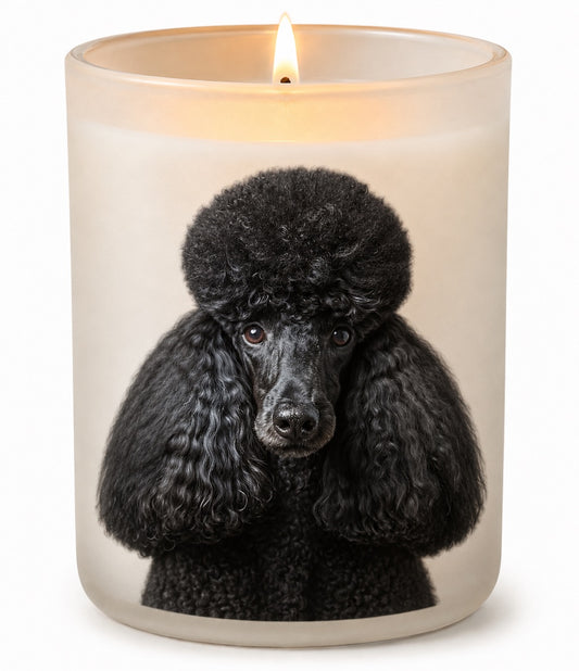 Poodle_Black
