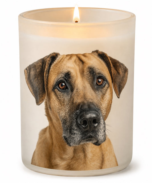 Ridgeback
