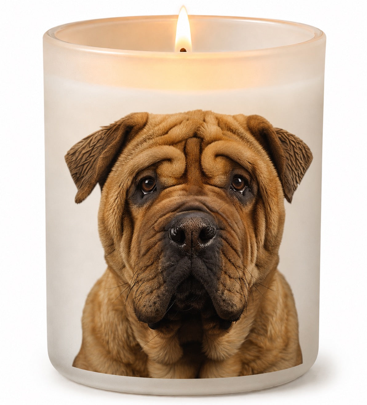 Shar Pei