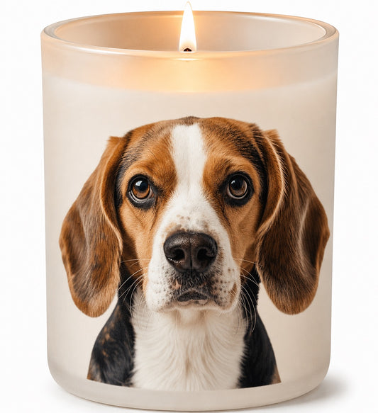 Beagle