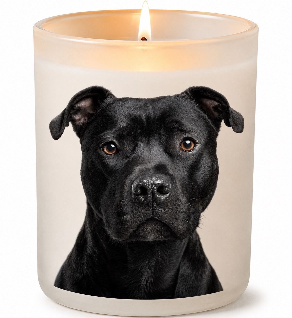 Staffy_Black