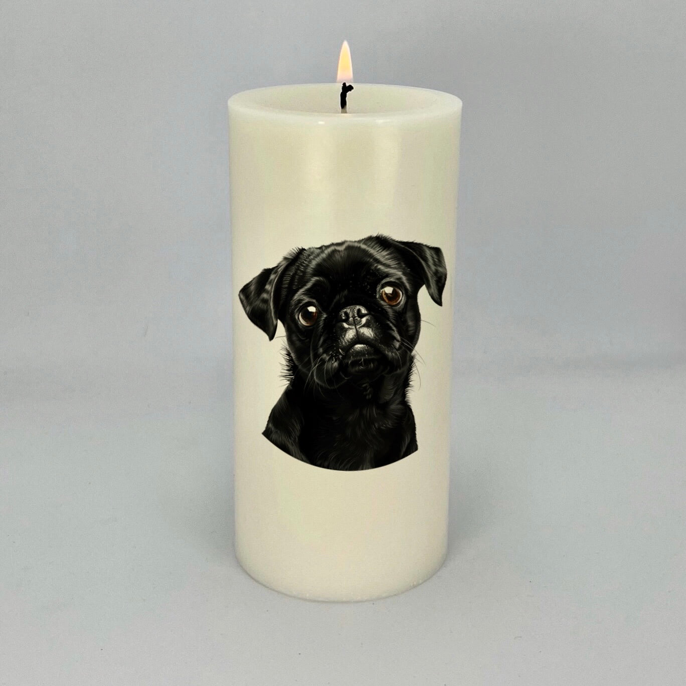 Pug Black