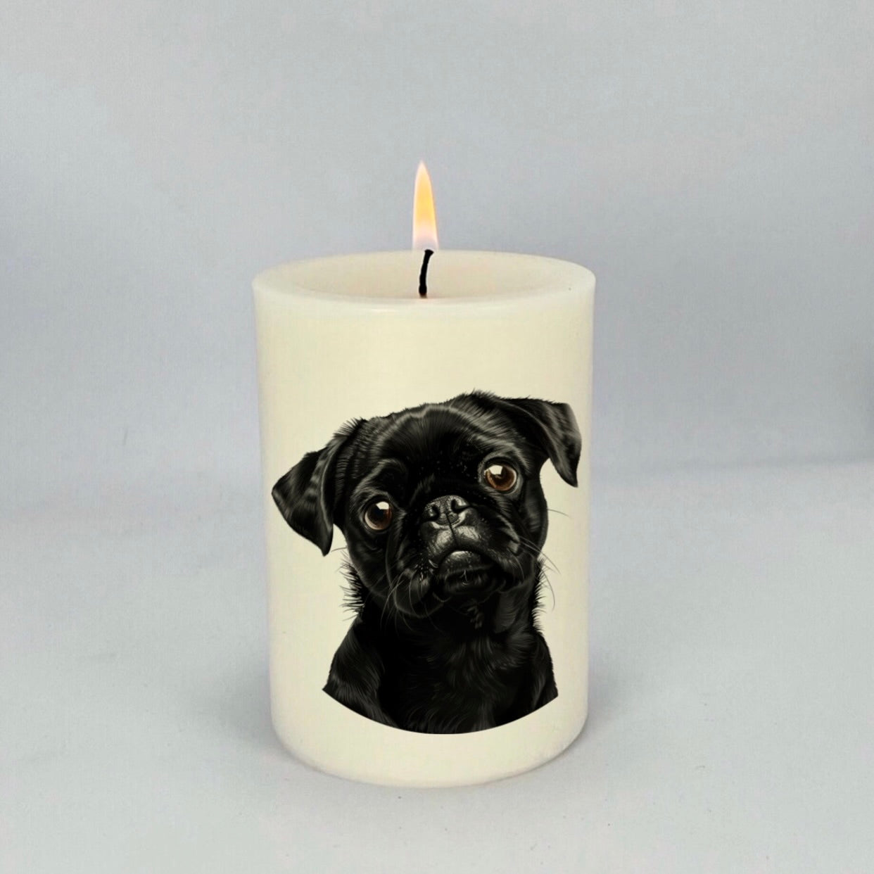 Pug Black