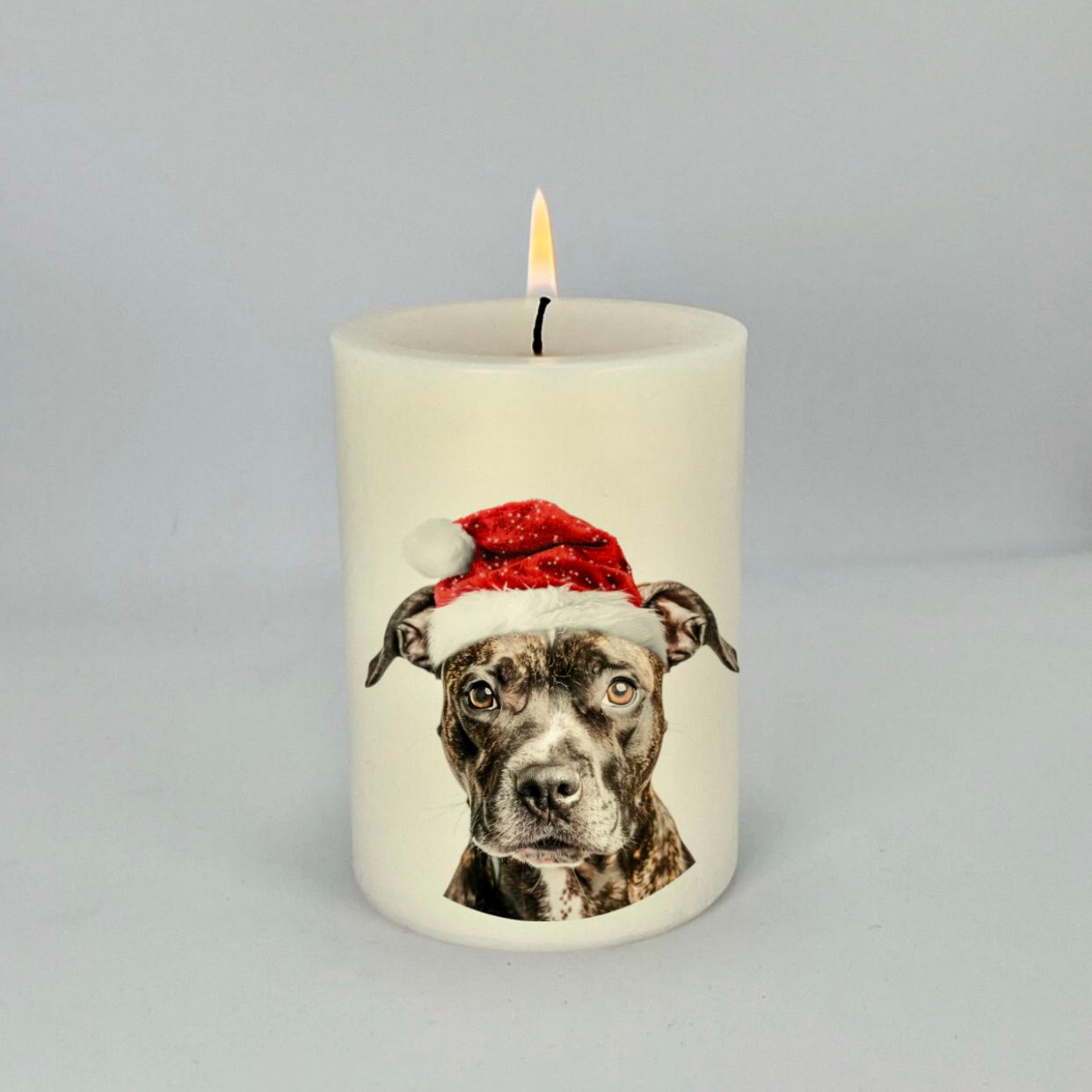 Staffy Christmas